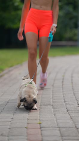 woman walking her pug in a park