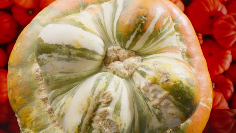 Macro-view-close-up-of-orange-gourd-with-camera-pulling-back