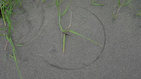 Gezeichneter-Kreis-Im-Sand-Mit-Vom-Wind-Verwehtem-Strandgras