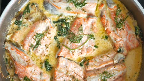 creamy salmon with mushrooms and herbs