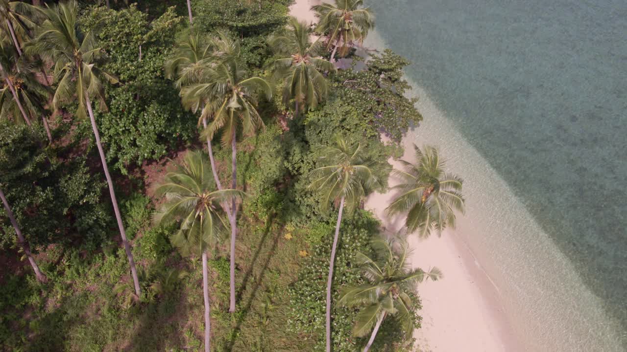 Tropical Island drone, bird’s eye view down, dolly shot with lush green rain forest and tropical palm trees with white sand beach, calm sea ocean and coastline