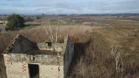 Royal-kite-on-top-of-old-house