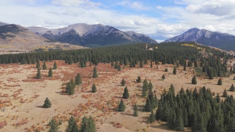 A-colorful-plateau-of-scrubby-grassland-and-wooded-forest-is-seen-from-an-aerial-drone-point-of-view-with-the-vast-backdrop-of-the-Rocky-Mountains-in-Ya-Ha-Tinda-Ranch-in-Alberta-Canada