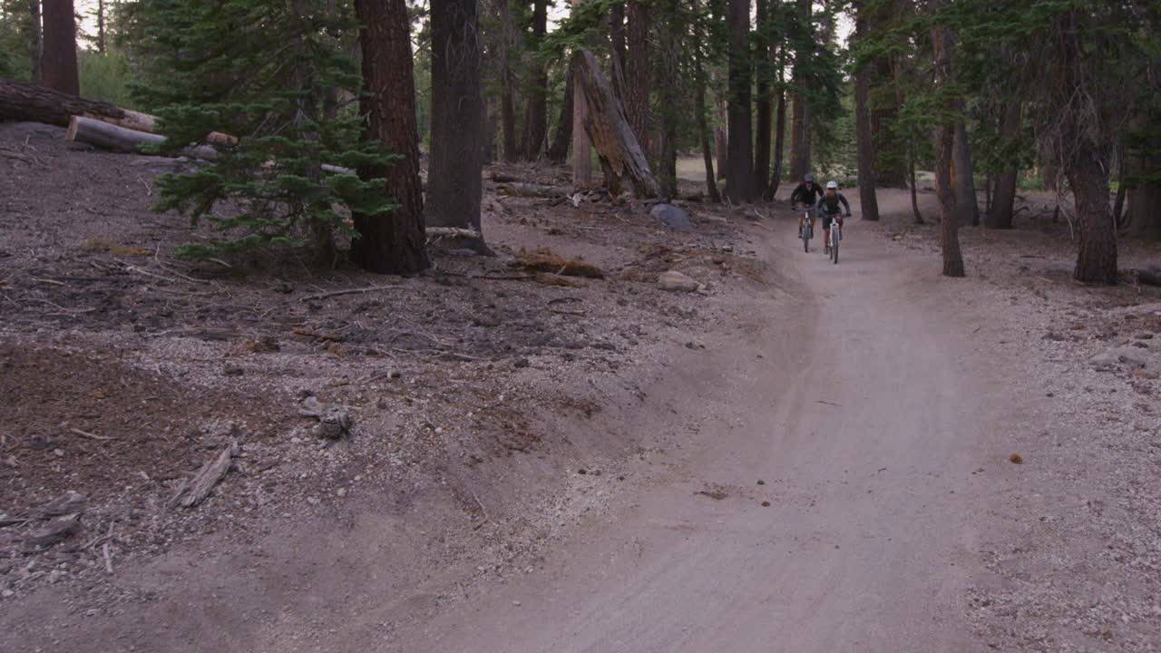 두 명의 산악 자전거 타는 사람이 숲을 통과합니다 2
