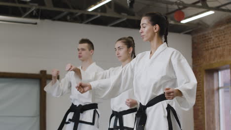 Three-martial-artists-practising-indoors