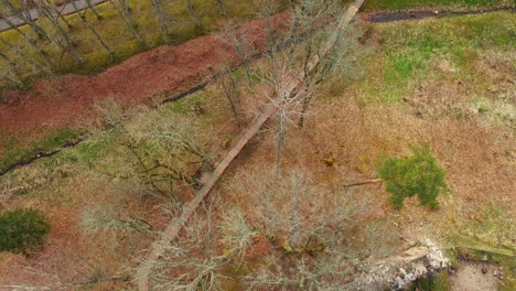 Aerial-top-down-shot-revealing-Rauna-Castle-ruins-in-Latvia