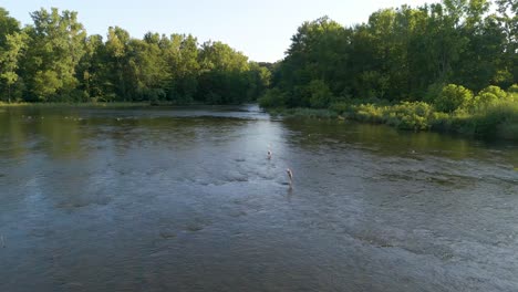 Aerial-ascent-of-two-blue-herons-standing-in-creek-bed,-Hoover-Reservoir,-Ohio