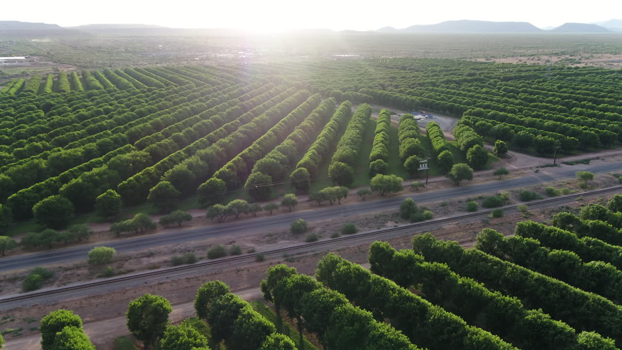 Drone shot of the sunset over pecan groves in Sahuarita, Arizona