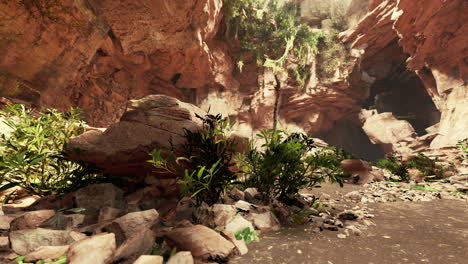 Vista-Desde-El-Interior-De-Una-Cueva-Oscura-Con-Plantas-Verdes-Y-Luz-En-La-Salida