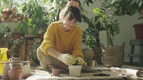 woman repotting houseplant at home