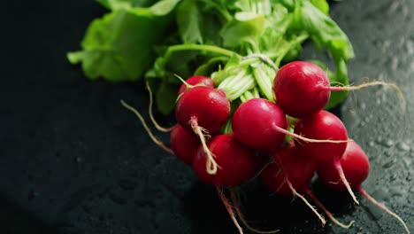 Bunch-of-ripe-radish