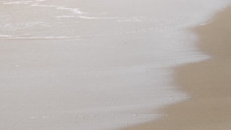la suave ola golpea la playa.