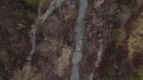 River-stream-flowing-through-brown-autumn-forest-landscape-with-trees