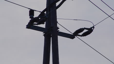 close-up of an electricity pylon at sunrise.