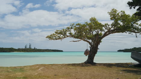 Una-Laguna-Pintoresca-En-El-Paraíso-Tropical-De-La-Isla-De-Los-Pinos-Con-Un-árbol-Bonsái-En-La-Playa