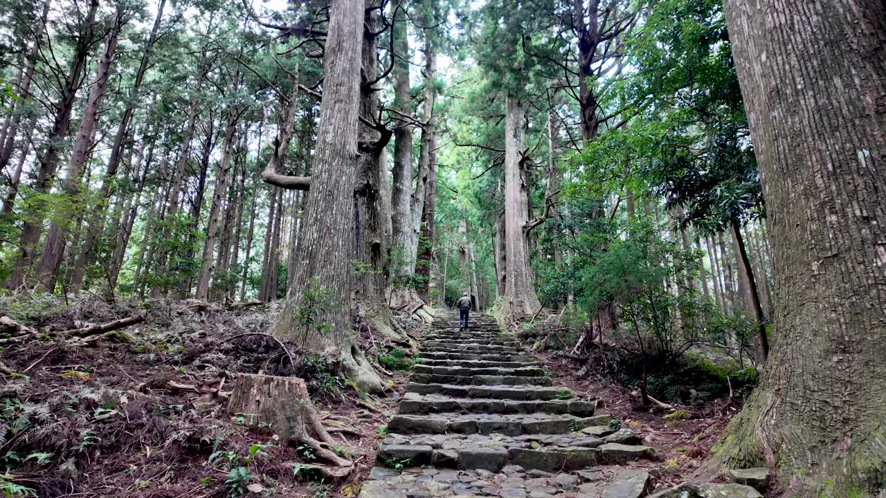 Man walking up a stone pathway in a serene Japanese forested area