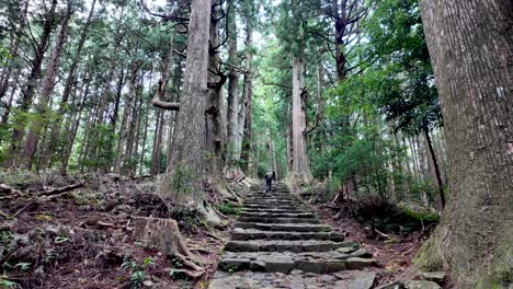 man walking up a stone pathway in a serene japanese forested area