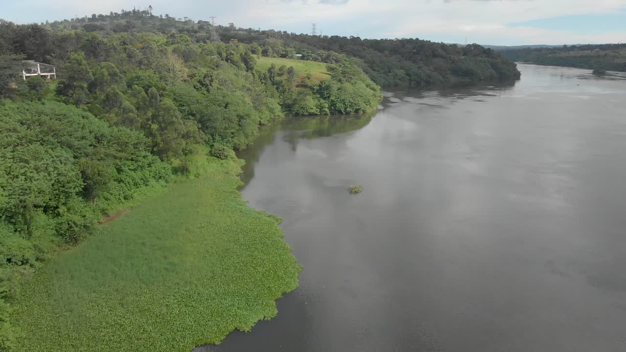toma aérea desde lo alto volando sobre el río nilo con la exuberante vegetación que crece a lo largo de las orillas