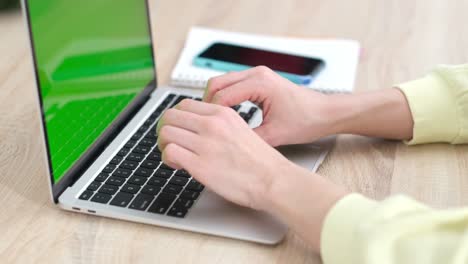 woman using laptop notebook viewing green screen press browsing chroma key online typing text working on computer close up hands