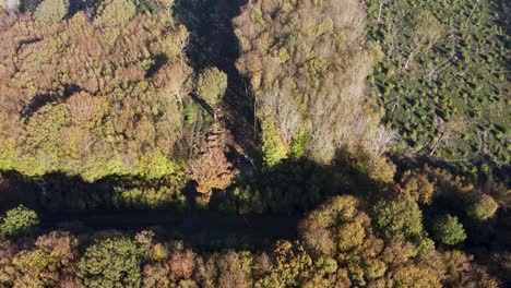 imágenes de drones de la deforestación de máquinas en el reino unido