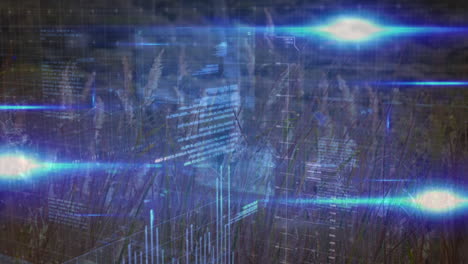 animación del procesamiento de datos y senderos de luz sobre hierba