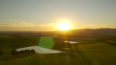 Descenso-Lento-Sobre-La-Vasta-Escena-Del-Paisaje-De-Viñedos-Al-Atardecer-En-El-Valle-De-Yarra,-Victoria,-Australia