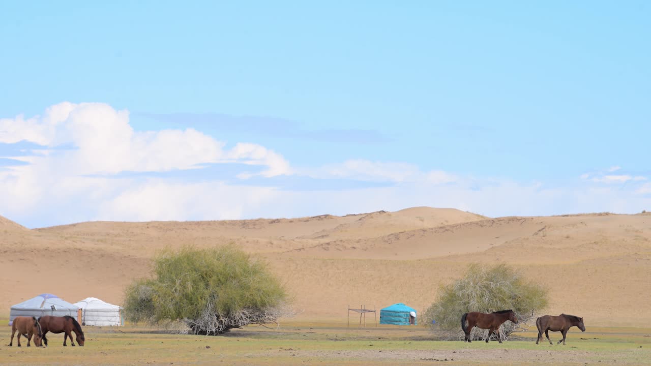 A herd of horses grazes peacefully near a settlement of traditional yurts in the Mongolian desert. A wide shot capturing the harmony of a nomadic pastoralist lifestyle