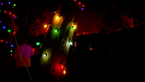 christmas lights decorate the trees as neighbors anxiously watch the thomas fire approach hillside neighborhoods