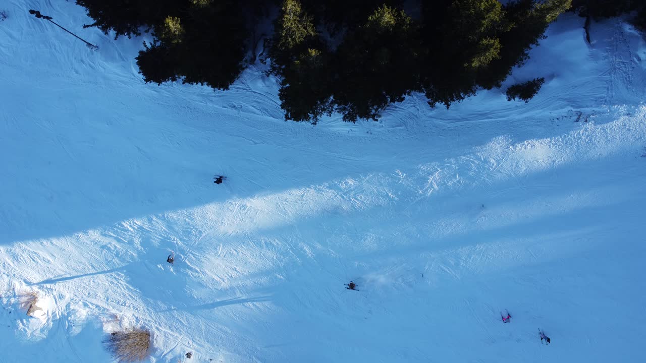 clip aéreo estático de arriba hacia abajo de personas esquiando alrededor de la curva de una ladera de montaña en medio de un bosque de coníferas en la estación de esquí de vitosha cerca de sofía, bulgaria