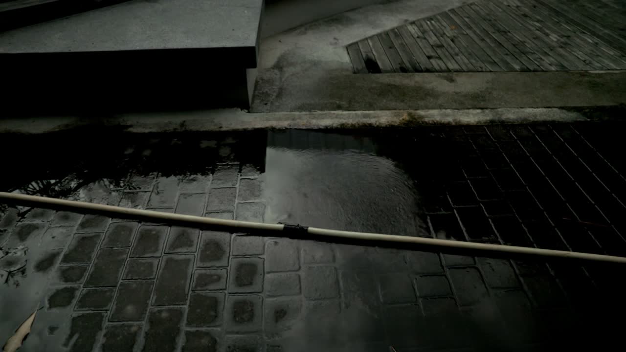 워터 호스가 공원에서 새고 있습니다.