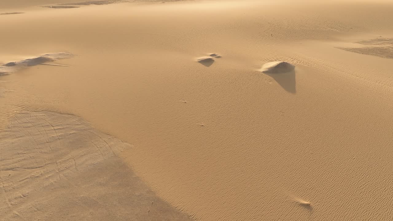 Aerial View of Desert Sand Formations A Lone Bird Soars Over a Desert Landscape