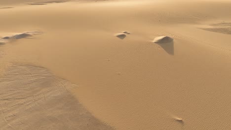 vista aérea de las formaciones de arena del desierto un pájaro solitario se eleva sobre un paisaje desértico