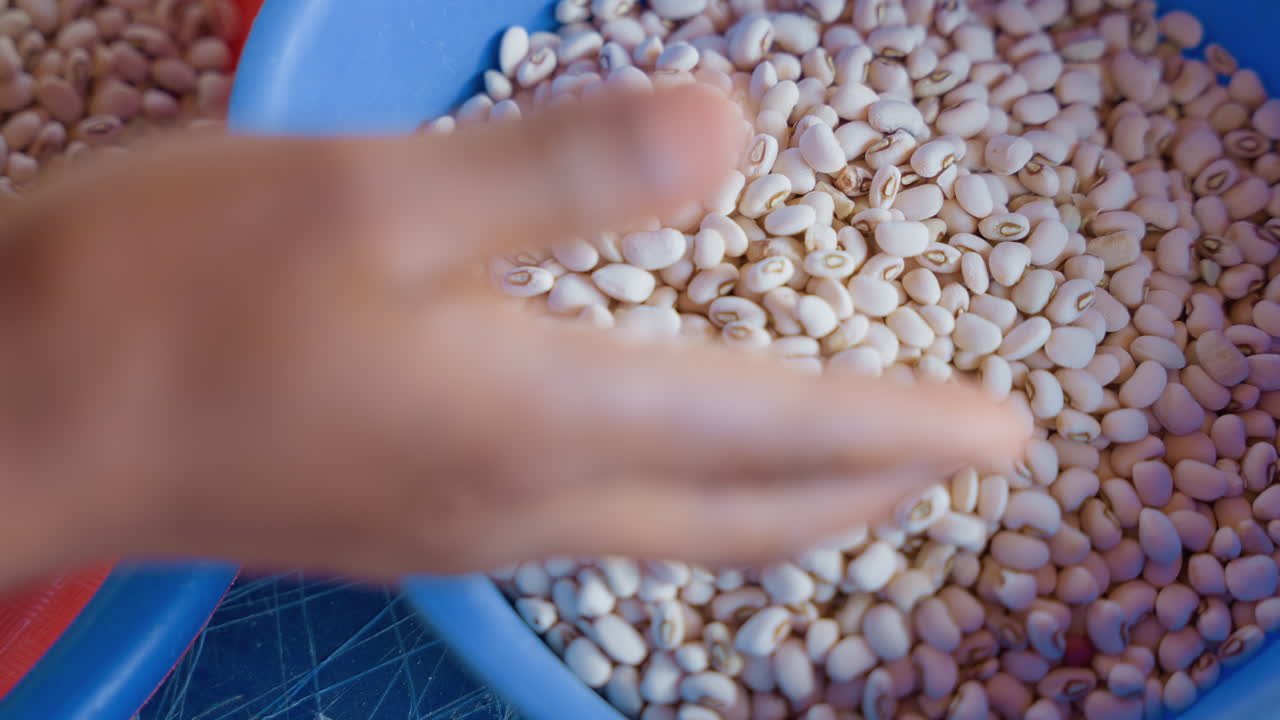 Closeup blue bowl of hominy house chores rinsing and sorting kernels, plastic bowl on countertop, tactile grain texture, natural staple prepped for cooking, cozy home kitchen atmosphere