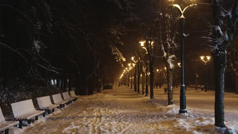 People-walking-in-park-during-night-time-with-glowing-lights,-time-lapse