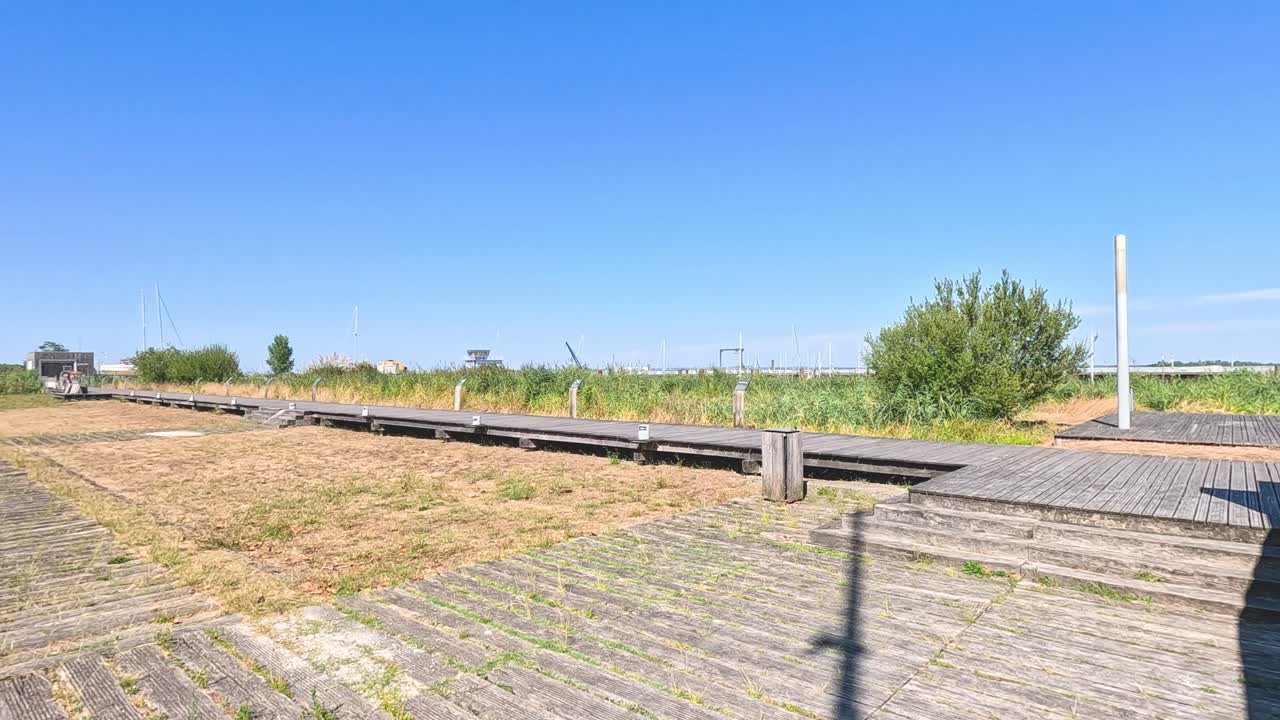 солнечный день на винограднике в пауиллаке