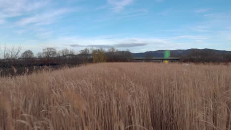 Aerial-dolly-above-dry-grass