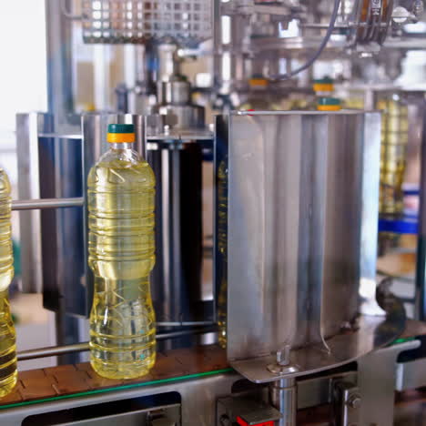 contemporary olive oil factory background. sunflower oil in bottles moving on a production line inside the factory. plastic bottles with packed cooking oil on a conveyor.