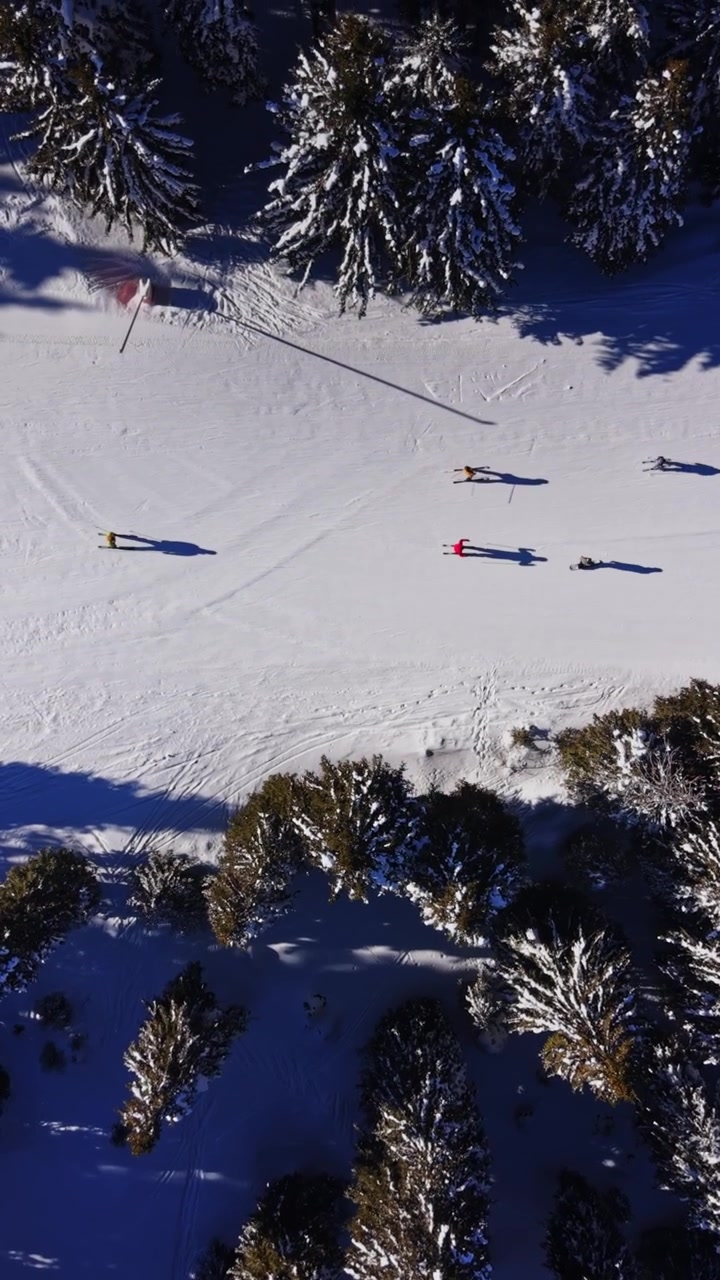 People skiing in the Carpathian Mountains of Bulgaria during winter