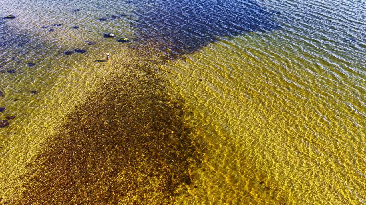 Ripresa aerea: uomo che cammina nell'acqua del mare di giorno, all'aperto, con un drone in orbita.
