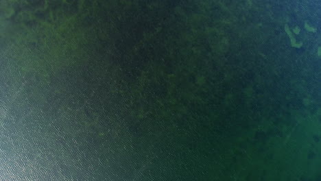 Topdown-drone-view-of-green-water