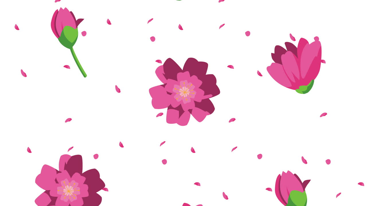 아름다운 분홍색 장미 꽃 정원 자연 패턴