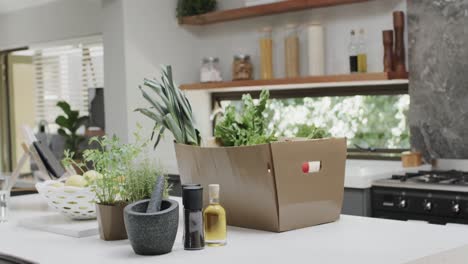 Close-up-of-fresh-vegetables-in-box-on-countertop-in-kitchen,-slow-motion