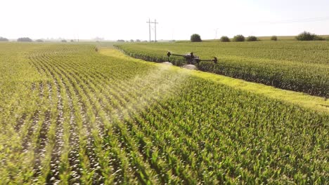 Drones-Agrícolas-Rociando-Productos-Químicos-En-Un-Campo-De-Maíz-En-Iowa-En-El-Verano