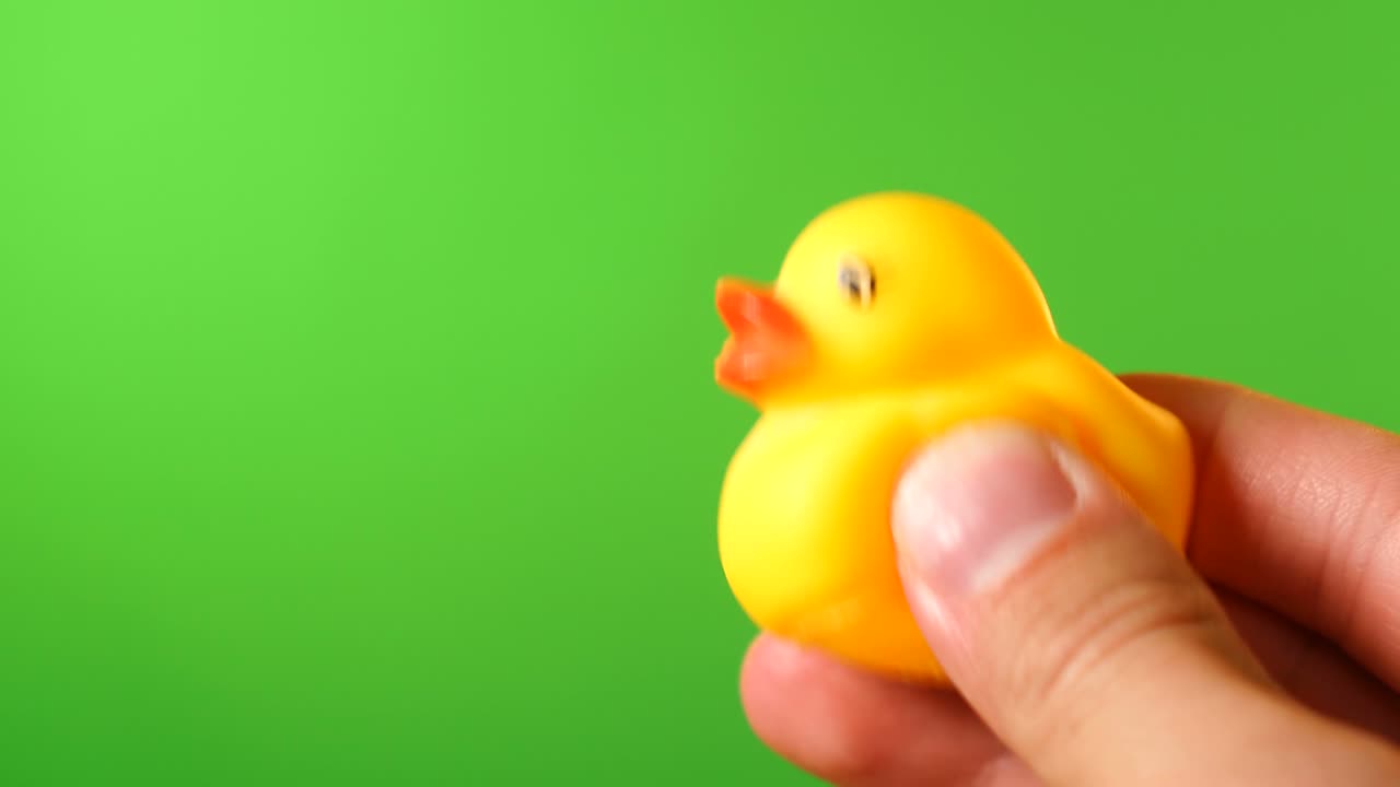남자의 손은 녹색 화면 배경에 고무 노란색 오리 장난감을 들고 있습니다.
