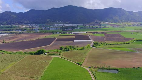 Belleza-En-La-Naturaleza-Del-Entorno-Natural-De-Constanza-Con-Paisaje-Verde-Y-Montañas-En-El-Fondo,-República-Dominicana