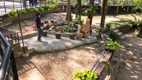 visitors engage with capybaras in a zoo setting