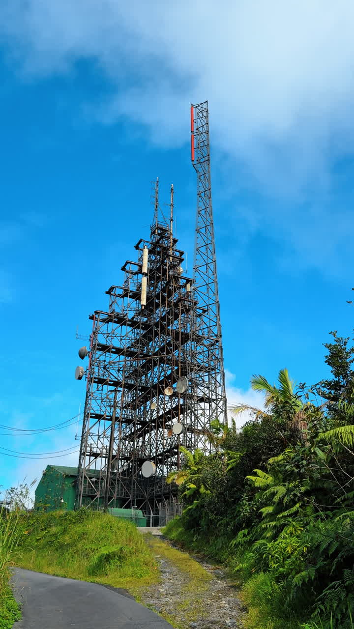 Torre di telecomunicazioni a Porto Rico. Vista dal basso dei siti di ripetizione circondati da vegetazione lussureggiante. Video verticale