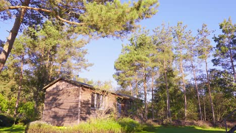 establisher pan of sieben linden ecovillage house in germany, peaceful sunny day