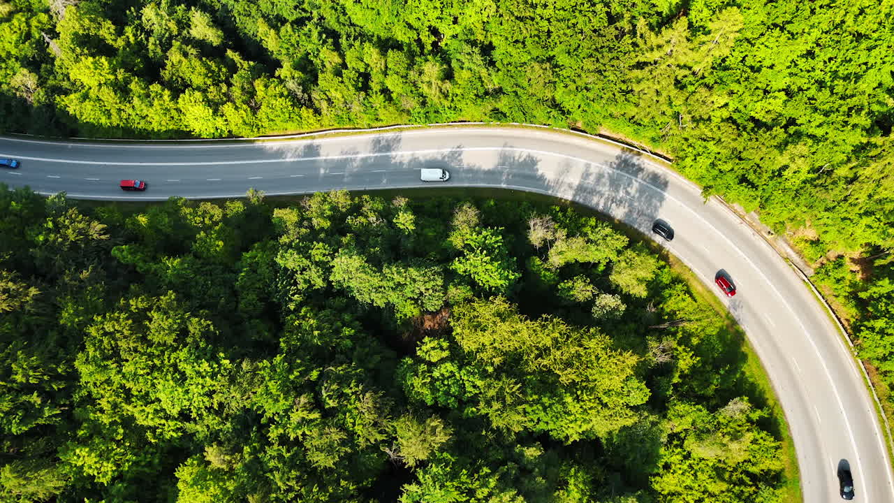Curved road in lush forest. Vehicles travel along a winding road surrounded by dense greenery on a sunny day in a forested area