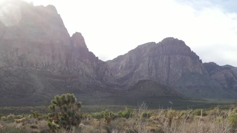 Plants-and-cliffs-in-Red-Rock-Canyon-National-Conservation-Area-in-Nevada,-USA---camera-tilting-up-in-slow-motion